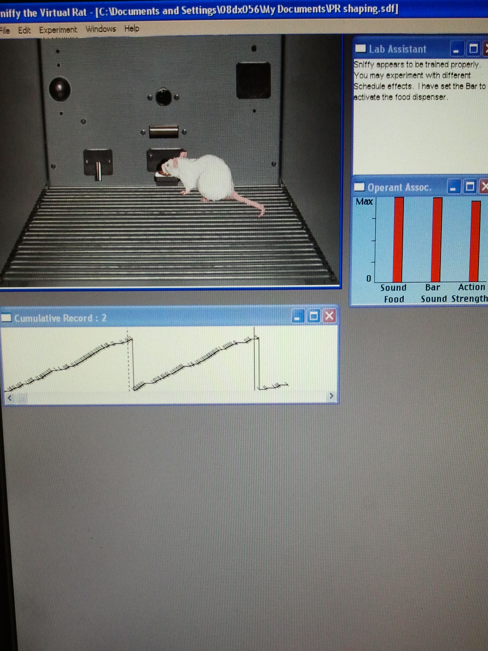 sniffy the virtual rat results